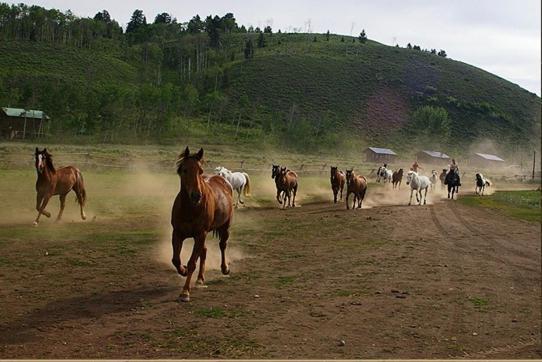 Parade Rest Ranch Уест Йелоустоун Екстериор снимка
